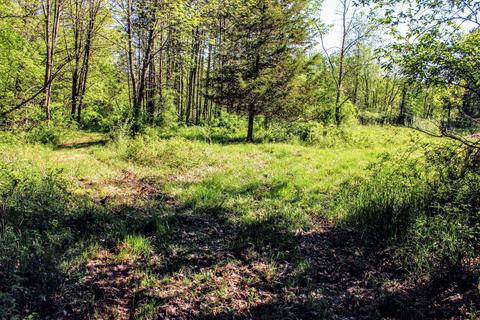 190 W Dowling Rd, Dowling, MI 49050 photo 81