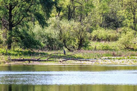 190 W Dowling Rd, Dowling, MI 49050 photo 79