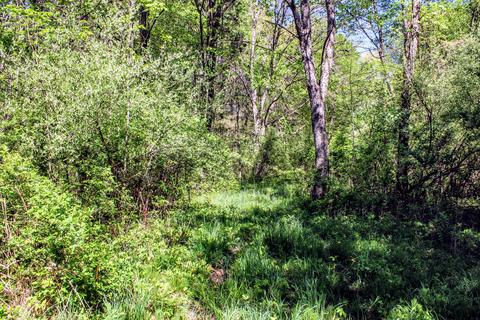 190 W Dowling Rd, Dowling, MI 49050 photo 104