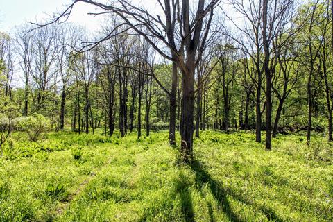 190 W Dowling Rd, Dowling, MI 49050 photo 76