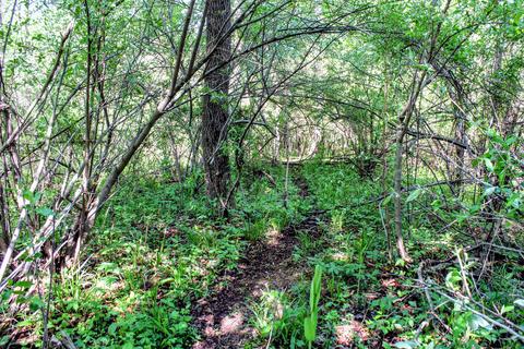 190 W Dowling Rd, Dowling, MI 49050 photo 100