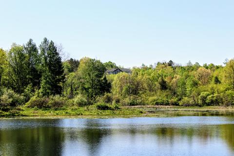 190 W Dowling Rd, Dowling, MI 49050 photo 6