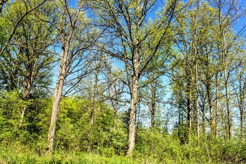 190 W Dowling Rd, Dowling, MI 49050 photo 77