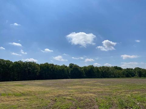 0 Rowe Rd, Jonesville, MI 49250