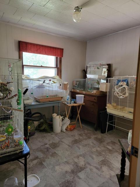 7765 Shaffer Rd, Reading, MI 49274 photo 21