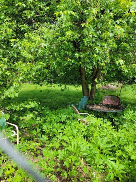 7765 Shaffer Rd, Reading, MI 49274 photo 7