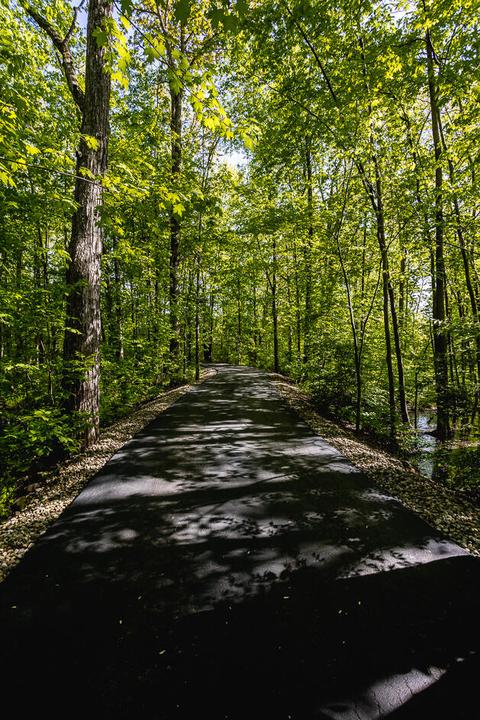 6750 Mccain Rd, Spring Arbor, MI 49283 photo 95