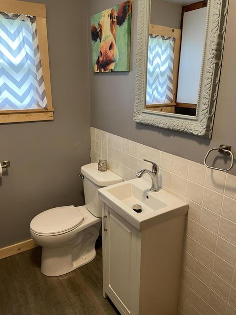 502 E Forrest St, Edmore, MI 48829 photo 15