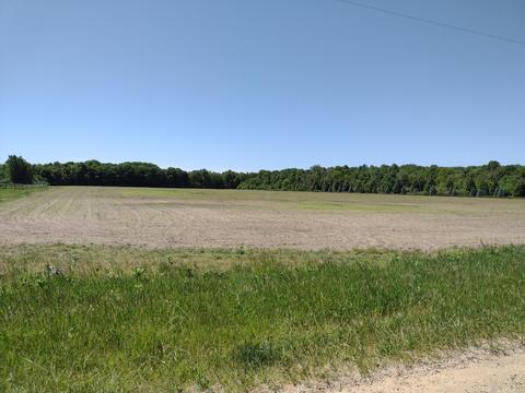 002 118th St, Fennville, MI 49408