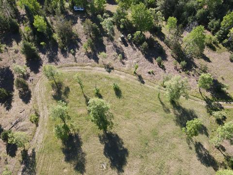 2288 Alexander Rd, Vanderbilt, MI 49795 photo 25