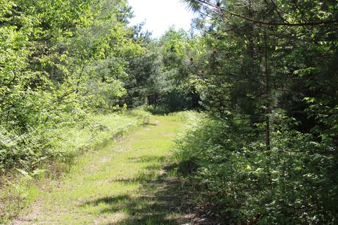2288 Alexander Rd, Vanderbilt, MI 49795 photo 11