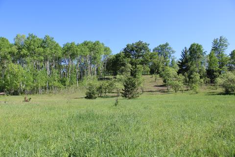 2288 Alexander Rd, Vanderbilt, MI 49795 photo 16