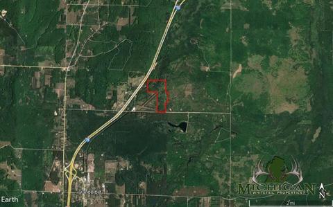2288 Alexander Rd, Vanderbilt, MI 49795 photo 29
