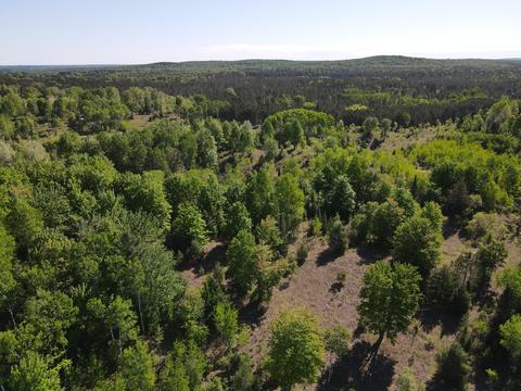2288 Alexander Rd, Vanderbilt, MI 49795 photo 27