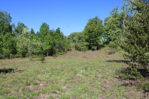 2288 Alexander Rd, Vanderbilt, MI 49795 photo 13