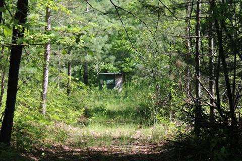 2288 Alexander Rd, Vanderbilt, MI 49795 photo 12