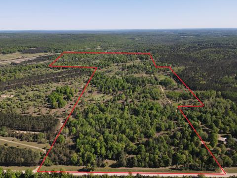 2288 Alexander Rd, Vanderbilt, MI 49795 photo 3