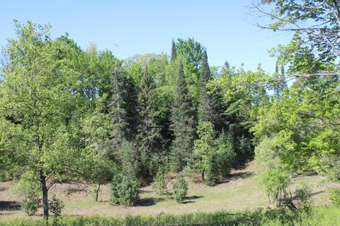 2288 Alexander Rd, Vanderbilt, MI 49795 photo 17