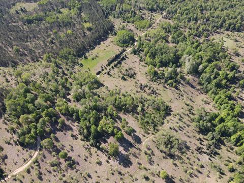2288 Alexander Rd, Vanderbilt, MI 49795 photo 24