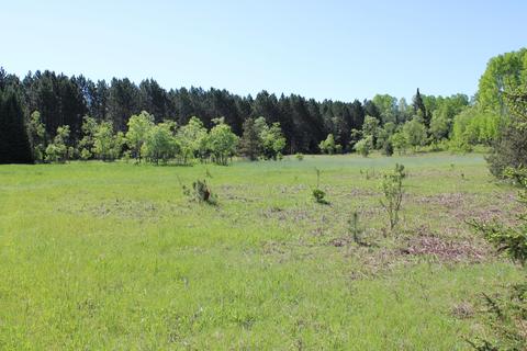 2288 Alexander Rd, Vanderbilt, MI 49795 photo 14