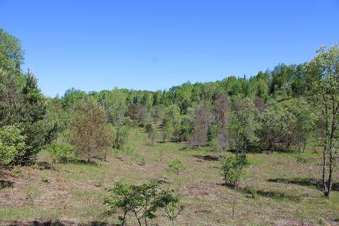 2288 Alexander Rd, Vanderbilt, MI 49795 photo 21