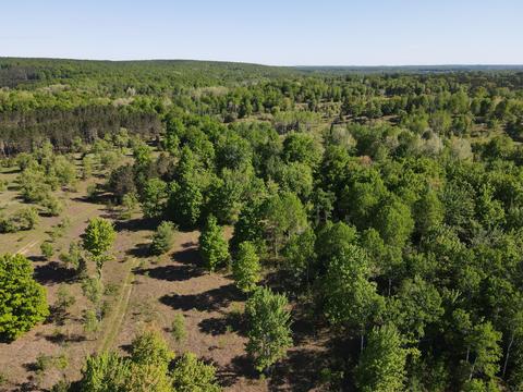 2288 Alexander Rd, Vanderbilt, MI 49795 photo 26