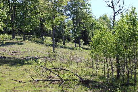 2288 Alexander Rd, Vanderbilt, MI 49795 photo 19