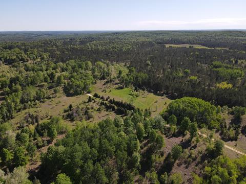 2288 Alexander Rd, Vanderbilt, MI 49795 photo 28