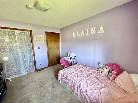 345 E Grant St, Bronson, MI 49028 photo 12