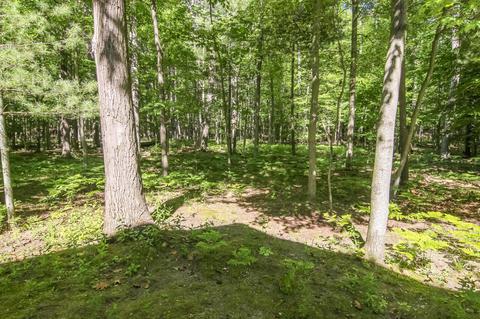 6756 Deadstream Rd, Honor, MI 49640 photo 52