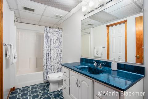 228 E Parmeter Rd, Ionia, MI 48846 photo 23