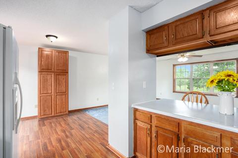 228 E Parmeter Rd, Ionia, MI 48846 photo 14