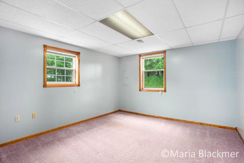 228 E Parmeter Rd, Ionia, MI 48846 photo 22