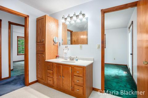 228 E Parmeter Rd, Ionia, MI 48846 photo 20