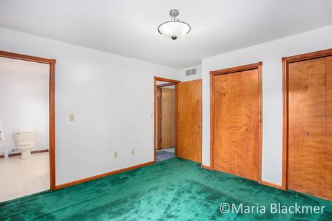 228 E Parmeter Rd, Ionia, MI 48846 photo 19