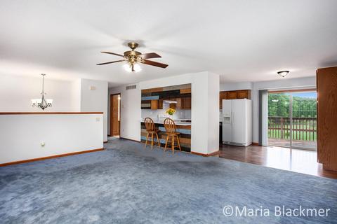 228 E Parmeter Rd, Ionia, MI 48846 photo 16