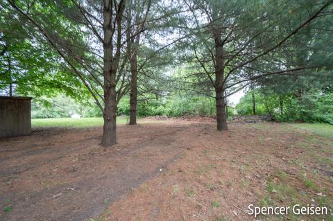 754 N Bridge St, Belding, MI 48809 photo 36