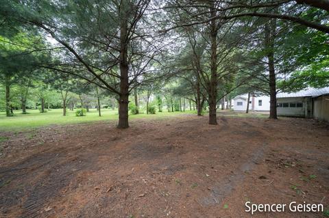 754 N Bridge St, Belding, MI 48809 photo 33