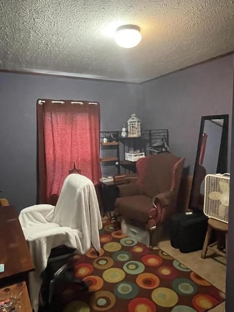 6097 Coonhill Rd, Munith, MI 49259 photo 19