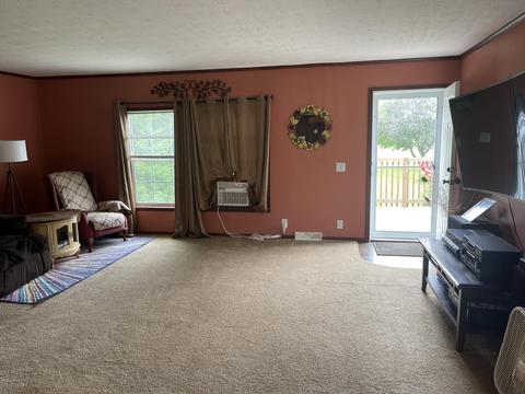 6097 Coonhill Rd, Munith, MI 49259 photo 12
