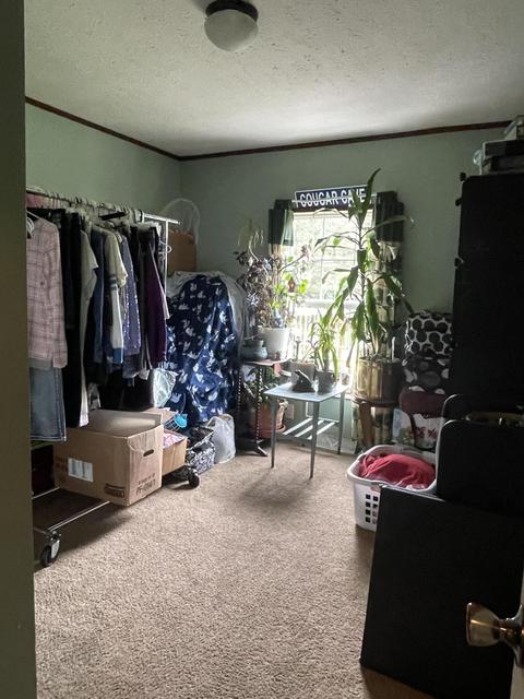 6097 Coonhill Rd, Munith, MI 49259 photo 18