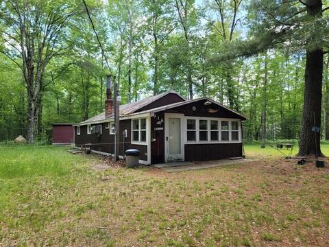 916 W Beaver Rd, Bitely, MI 49309 photo 1