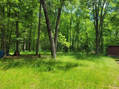 916 W Beaver Rd, Bitely, MI 49309 photo 10