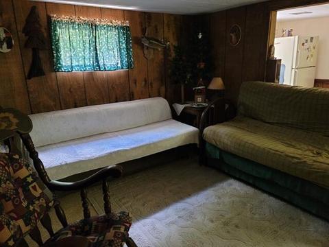 916 W Beaver Rd, Bitely, MI 49309 photo 8