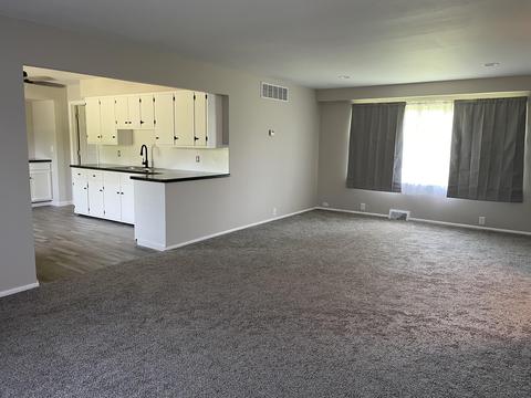 131 E Colon Rd, Coldwater, MI 49036 photo 3