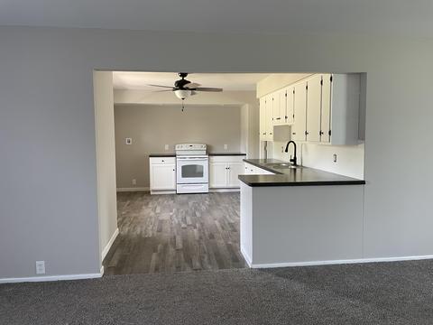131 E Colon Rd, Coldwater, MI 49036 photo 4