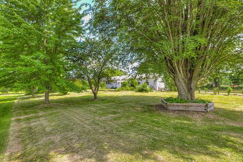 10250 Sears Rd, Concord, MI 49237 photo 40