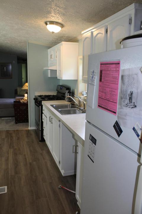 4063 E Shore Dr, Stanton, MI 48888 photo 18