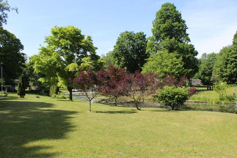 4063 E Shore Dr, Stanton, MI 48888 photo 4