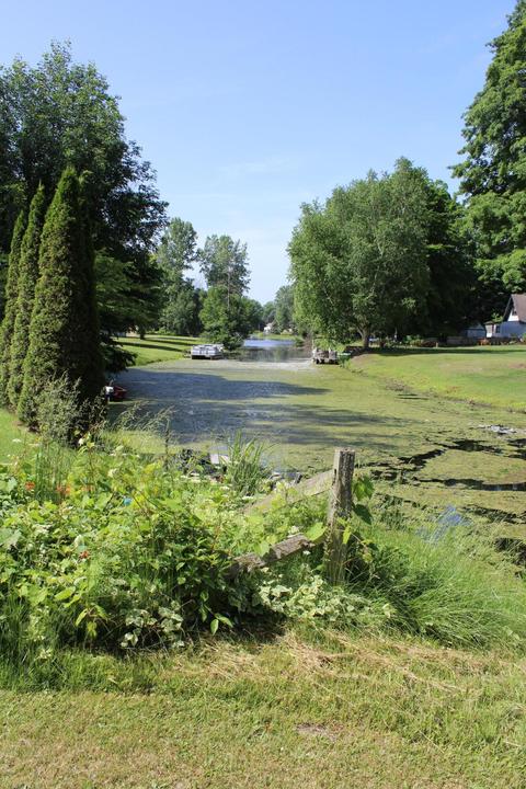 4063 E Shore Dr, Stanton, MI 48888 photo 7